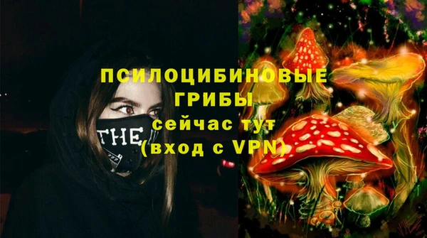 прущие крисы Армянск