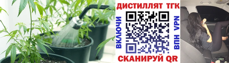 Купить закладки  Усолье-Сибирское  ТГК THC oil 